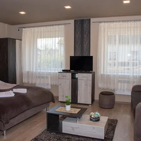 Aranyfuert Vendeghaz Pensiune