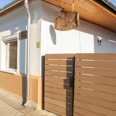 Aranyfuert Vendeghaz Pensiune Tokaj