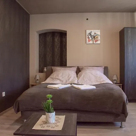 Pensiune Aranyfuert Vendeghaz 3*