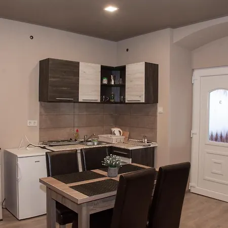 Aranyfuert Vendeghaz Pensiune Tokaj