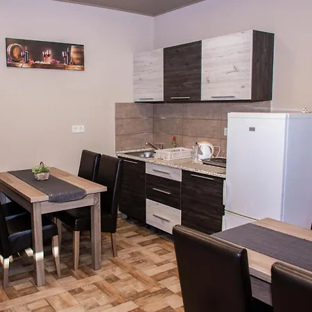 Aranyfuert Vendeghaz Pensiune Tokaj