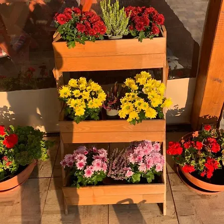 Aranyfuert Vendeghaz Tokaj