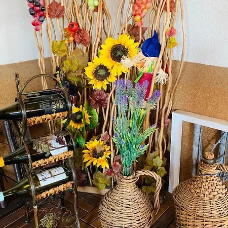 Aranyfuert Vendeghaz Tokaj