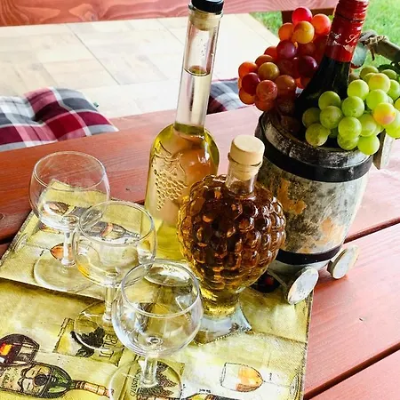 Pensiune Aranyfuert Vendeghaz