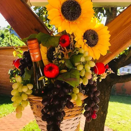 Pensiune Aranyfuert Vendeghaz Tokaj