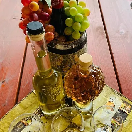 Aranyfuert Vendeghaz Pensiune