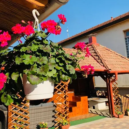 Aranyfuert Vendeghaz Pensiune