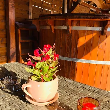 Aranyfuert Vendeghaz Pensiune 3*