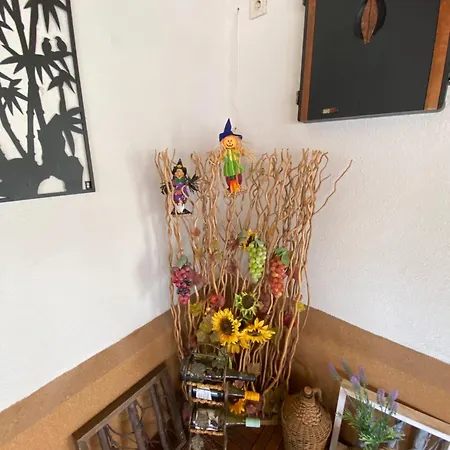 Pensiune Aranyfuert Vendeghaz 3*