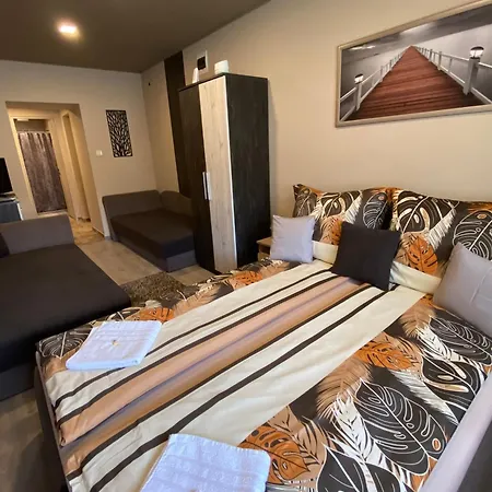 Aranyfuert Vendeghaz Pensiune Tokaj