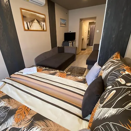 Aranyfuert Vendeghaz Pensiune 3*