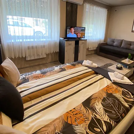 Pensiune Aranyfuert Vendeghaz