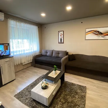 Pensiune Aranyfuert Vendeghaz 3*