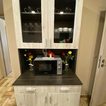 Aranyfuert Vendeghaz Pensiune