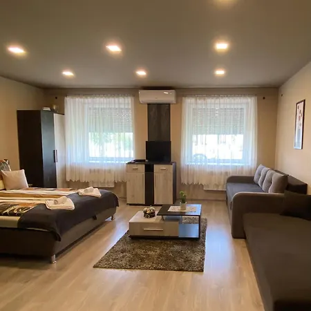 Aranyfuert Vendeghaz Pensiune Tokaj