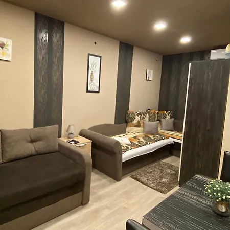 Aranyfuert Vendeghaz Pensiune Tokaj