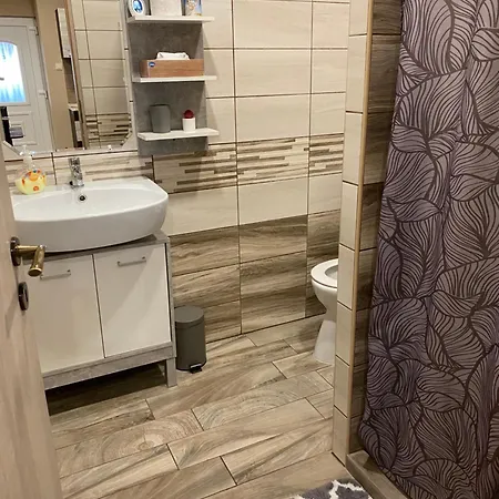 Aranyfuert Vendeghaz Pensiune 3*