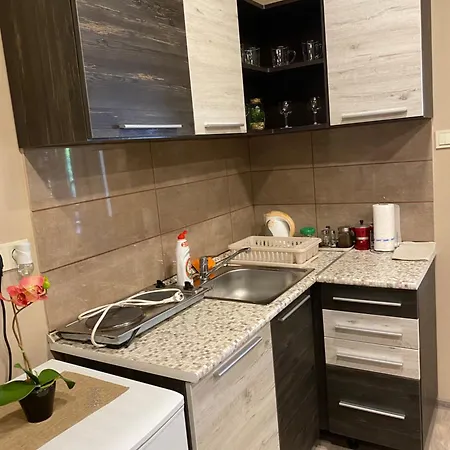 Pensiune Aranyfuert Vendeghaz 3*