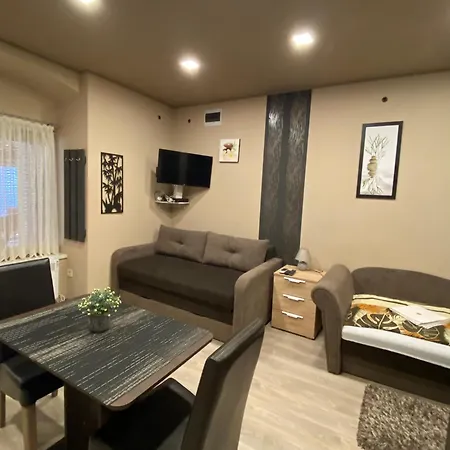 Aranyfuert Vendeghaz Pensiune Tokaj