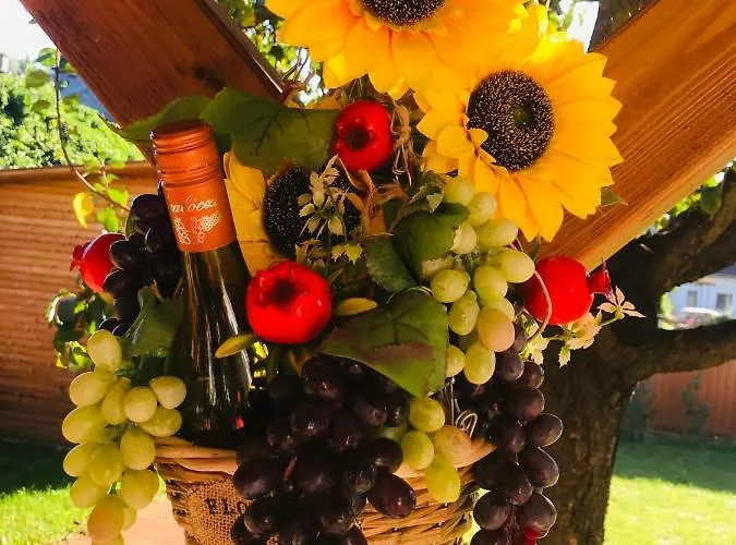 Guest house Aranyfuert Vendeghaz Tokaj