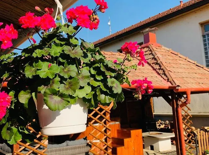 Aranyfuert Vendeghaz Guest house