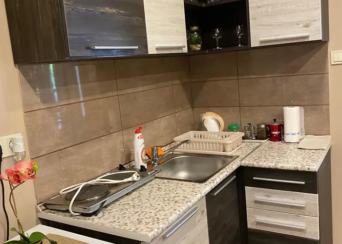 Guest house Aranyfuert Vendeghaz 3*